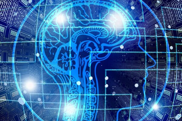 freelancers AI skills demand